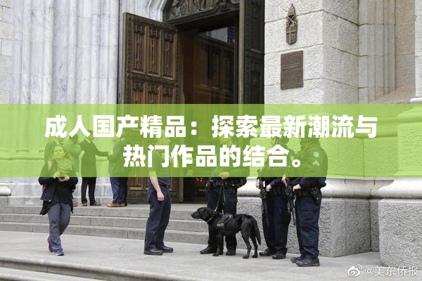 成人国产精品：探索最新潮流与热门作品的结合。