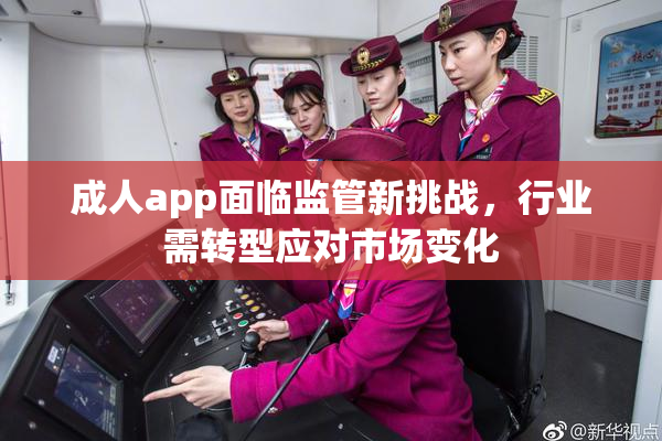 成人app面临监管新挑战，行业需转型应对市场变化