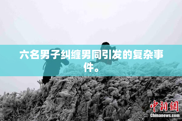 六名男子纠缠男同引发的复杂事件。