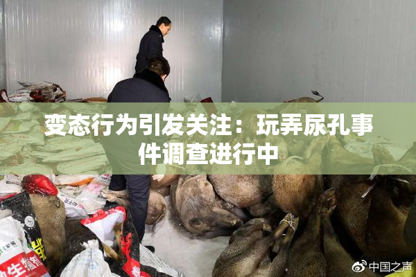 变态行为引发关注：玩弄尿孔事件调查进行中