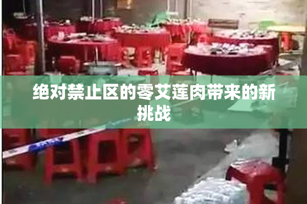 绝对禁止区的零艾莲肉带来的新挑战