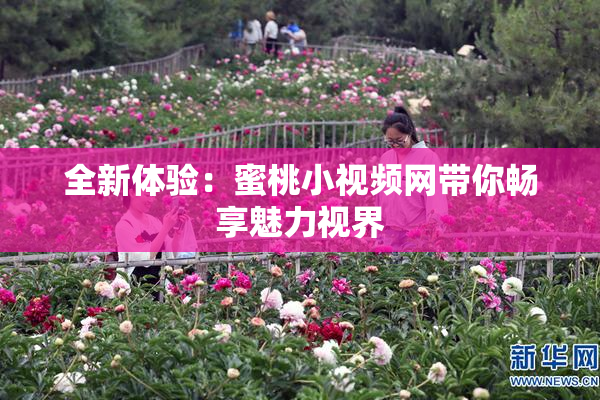 全新体验：蜜桃小视频网带你畅享魅力视界
