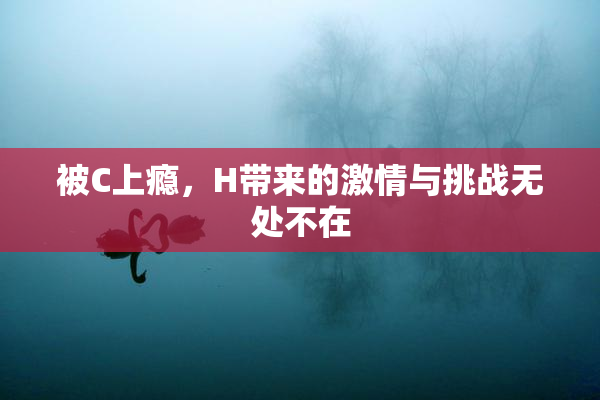 被C上瘾，H带来的激情与挑战无处不在