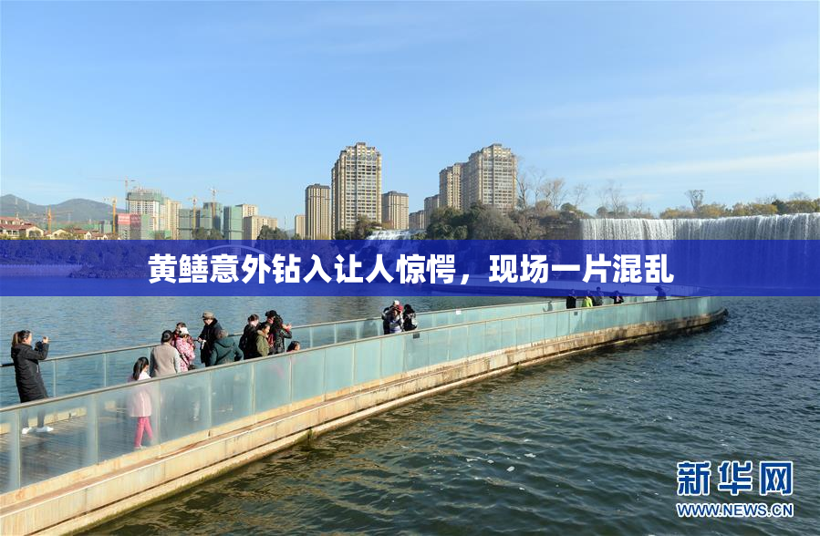 黄鳝意外钻入让人惊愕，现场一片混乱