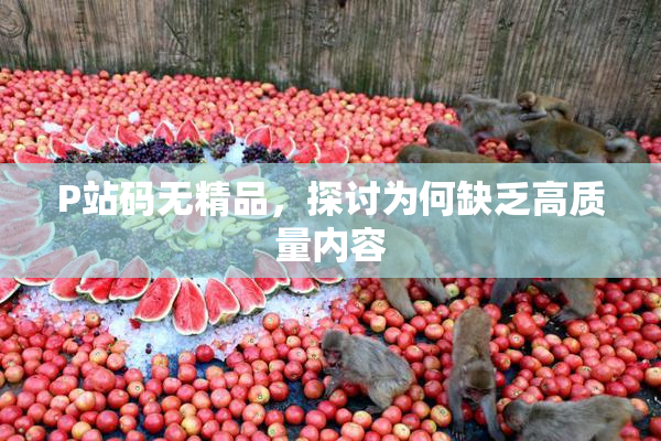 P站码无精品，探讨为何缺乏高质量内容
