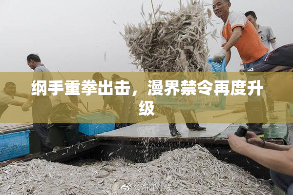 纲手重拳出击，漫界禁令再度升级