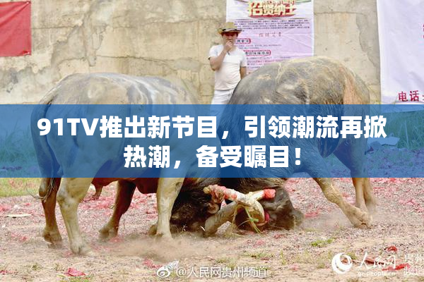91TV推出新节目，引领潮流再掀热潮，备受瞩目！