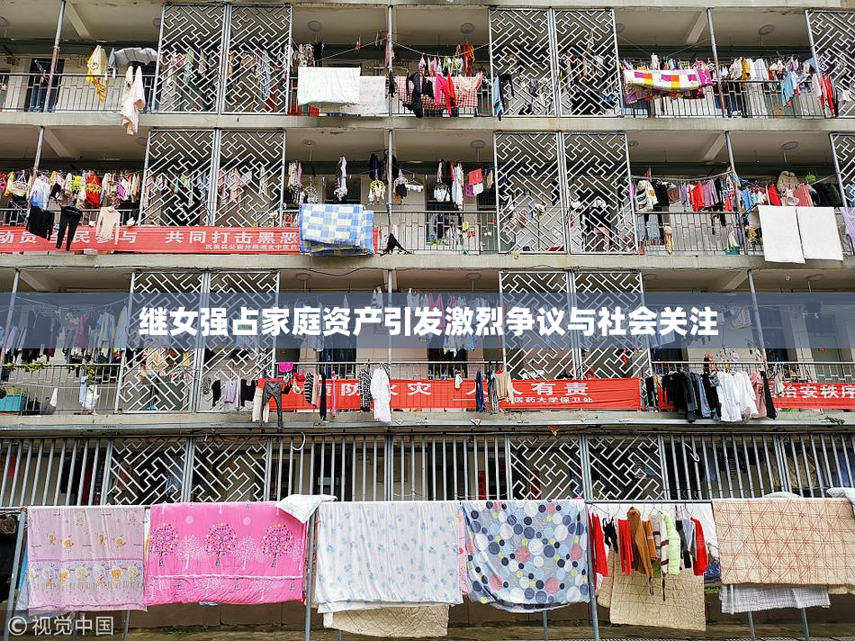 继女强占家庭资产引发激烈争议与社会关注
