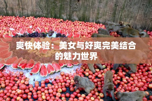 爽快体验：美女与好爽完美结合的魅力世界