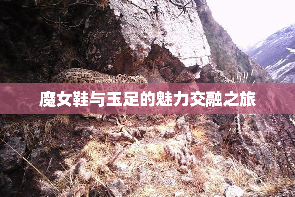 魔女鞋与玉足的魅力交融之旅
