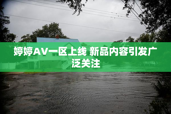 婷婷AV一区上线 新品内容引发广泛关注