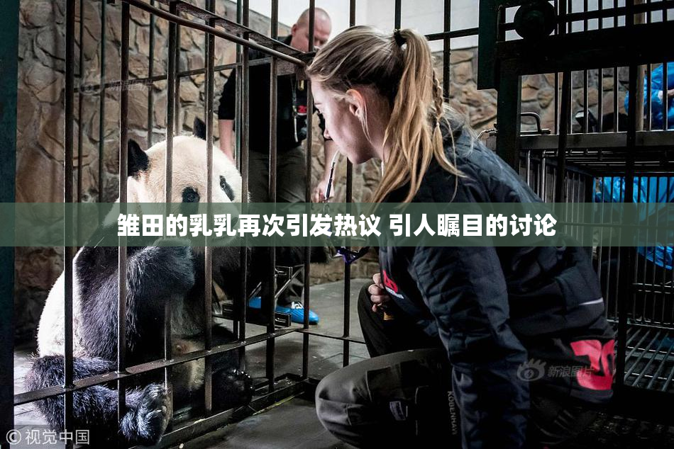 雏田的乳乳再次引发热议 引人瞩目的讨论