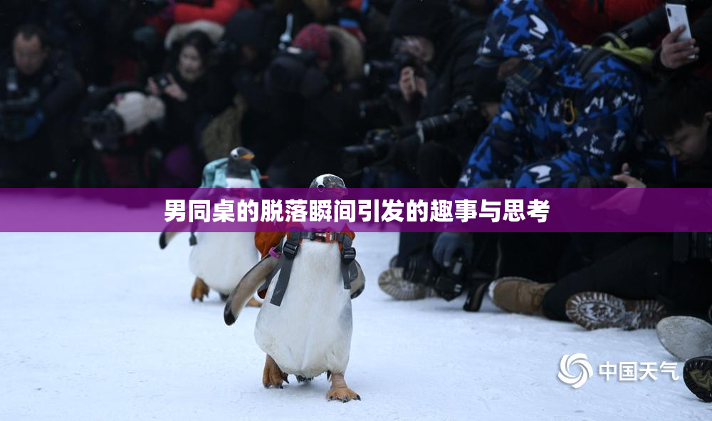 男同桌的脱落瞬间引发的趣事与思考