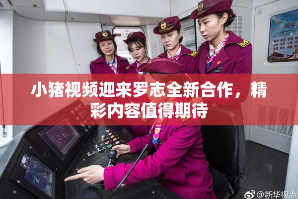 小猪视频迎来罗志全新合作，精彩内容值得期待