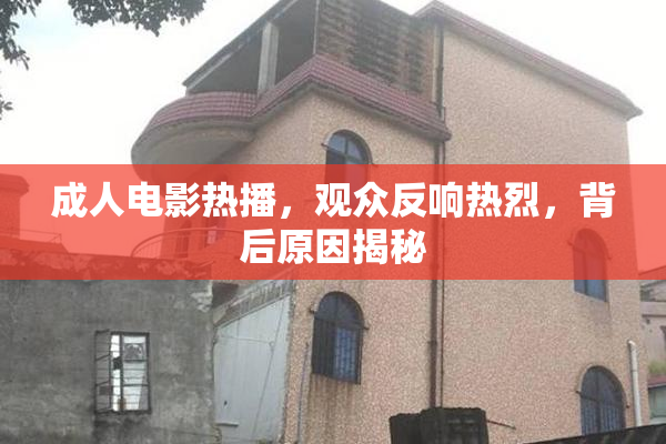 成人电影热播，观众反响热烈，背后原因揭秘