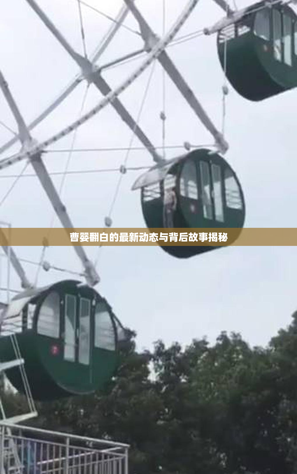 曹婴翻白的最新动态与背后故事揭秘