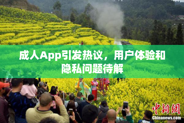 成人App引发热议，用户体验和隐私问题待解