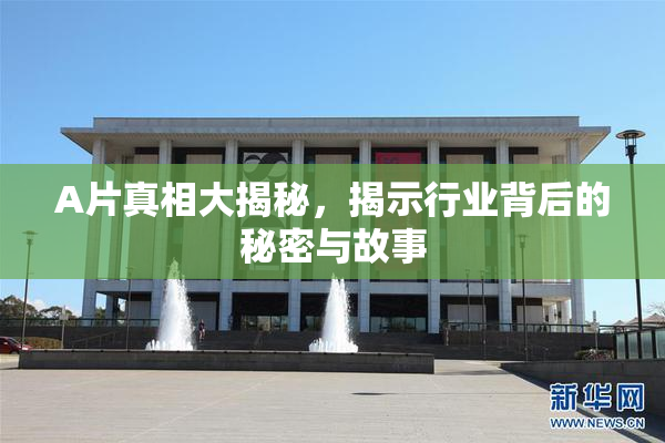 A片真相大揭秘，揭示行业背后的秘密与故事