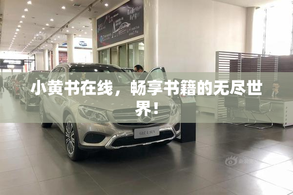 小黄书在线，畅享书籍的无尽世界！
