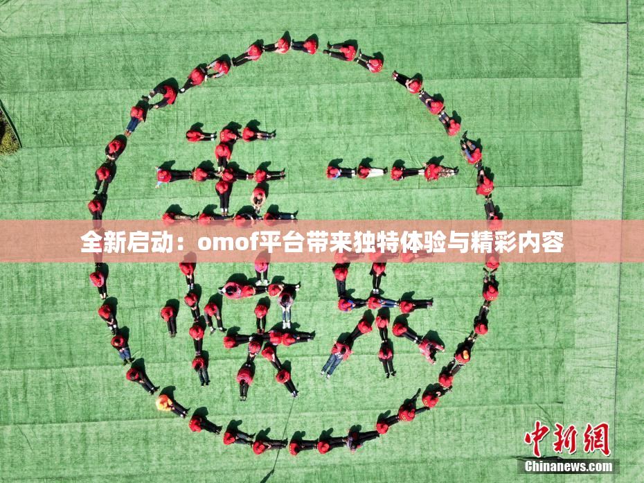 全新启动：omof平台带来独特体验与精彩内容