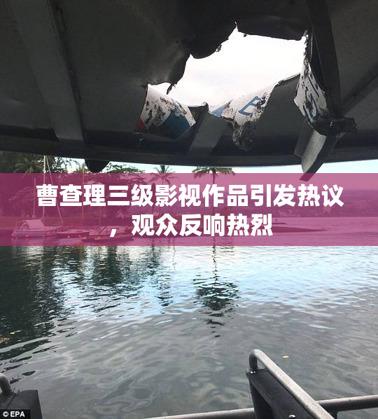曹查理三级影视作品引发热议，观众反响热烈