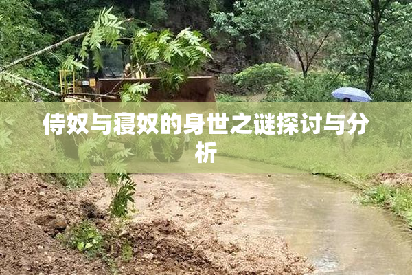 侍奴与寝奴的身世之谜探讨与分析