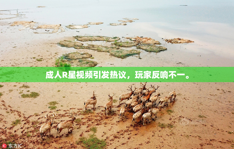 成人R星视频引发热议，玩家反响不一。
