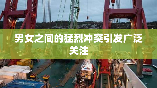 男女之间的猛烈冲突引发广泛关注
