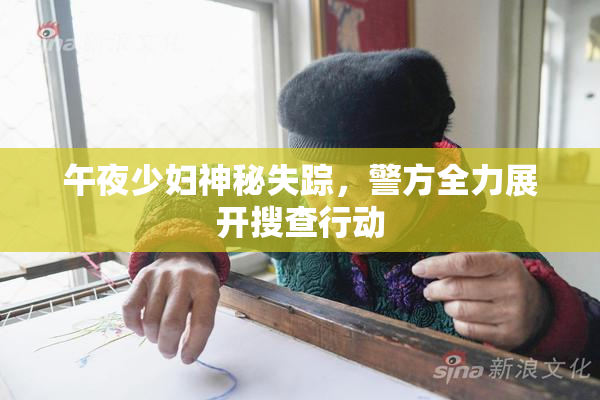 午夜少妇神秘失踪，警方全力展开搜查行动