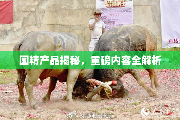 国精产品揭秘，重磅内容全解析