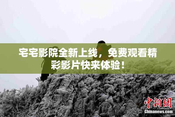 宅宅影院全新上线，免费观看精彩影片快来体验！