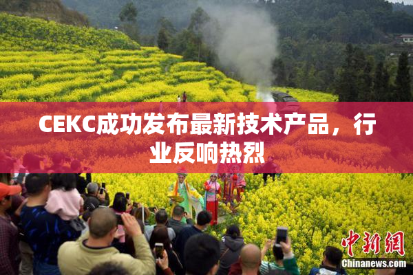 CEKC成功发布最新技术产品，行业反响热烈