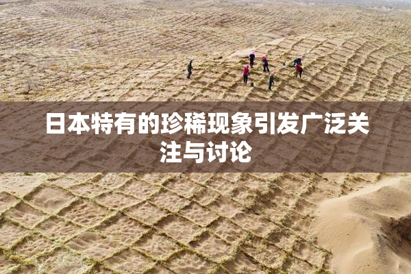 日本特有的珍稀现象引发广泛关注与讨论