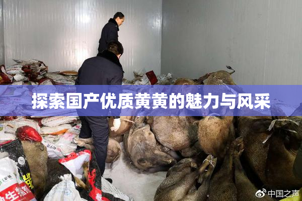 探索国产优质黄黄的魅力与风采