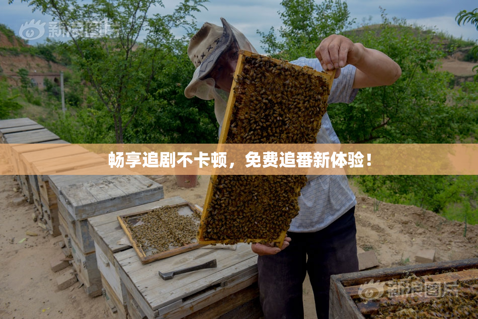 畅享追剧不卡顿，免费追番新体验！