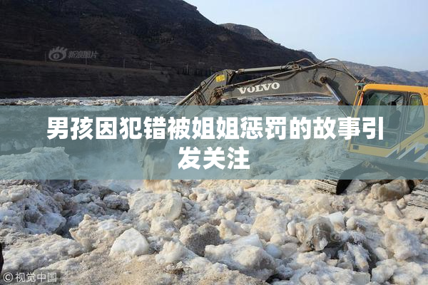 男孩因犯错被姐姐惩罚的故事引发关注