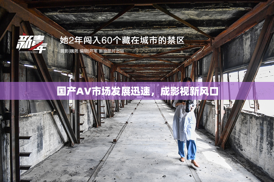 国产AV市场发展迅速，成影视新风口