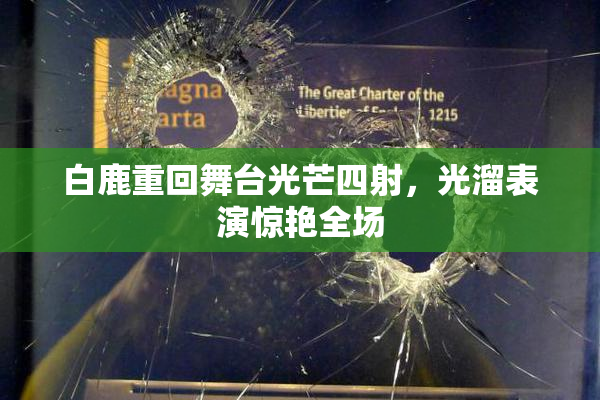 白鹿重回舞台光芒四射，光溜表演惊艳全场