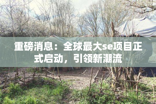 重磅消息：全球最大se项目正式启动，引领新潮流