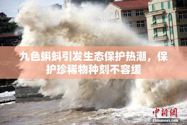 九色蝌蚪引发生态保护热潮，保护珍稀物种刻不容缓