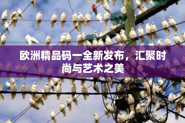欧洲精品码一全新发布，汇聚时尚与艺术之美