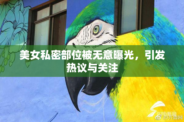 美女私密部位被无意曝光，引发热议与关注