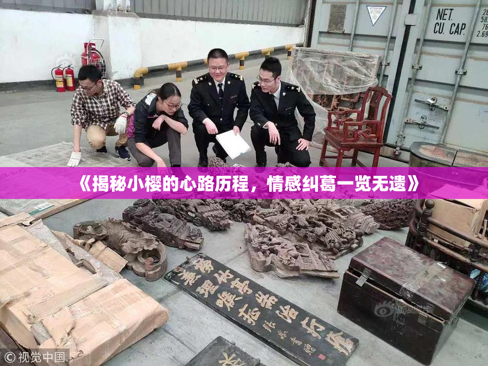 《揭秘小樱的心路历程，情感纠葛一览无遗》