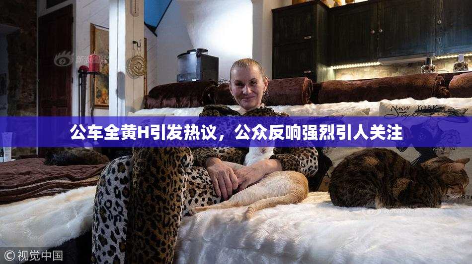 公车全黄H引发热议，公众反响强烈引人关注
