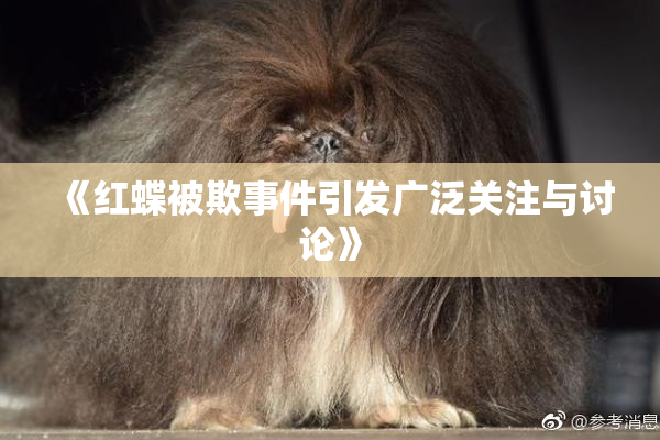 《红蝶被欺事件引发广泛关注与讨论》