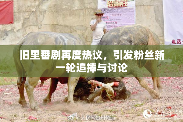 旧里番剧再度热议，引发粉丝新一轮追捧与讨论