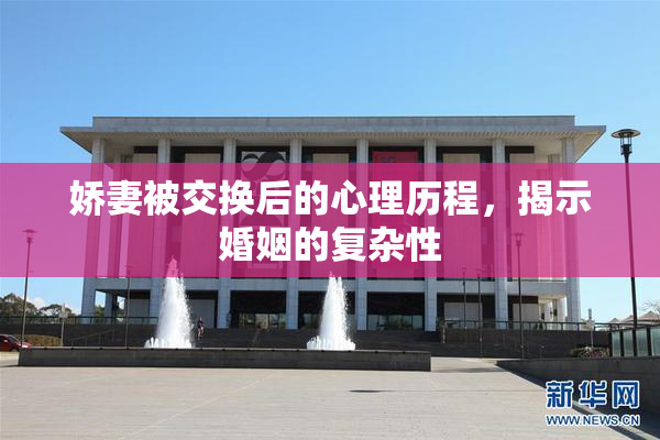 娇妻被交换后的心理历程，揭示婚姻的复杂性