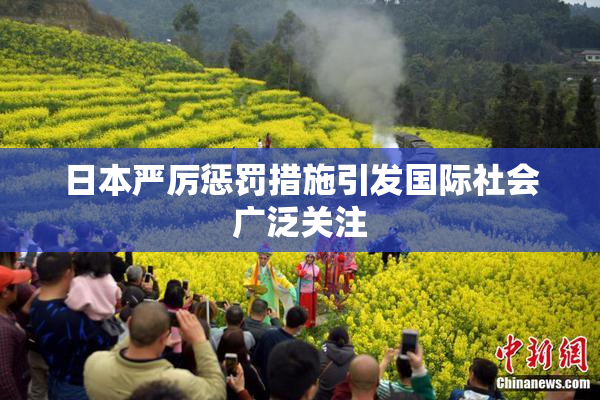 日本严厉惩罚措施引发国际社会广泛关注