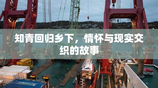 知青回归乡下，情怀与现实交织的故事