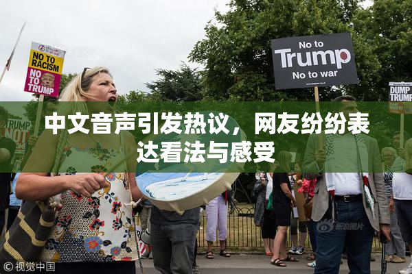 中文音声引发热议，网友纷纷表达看法与感受
